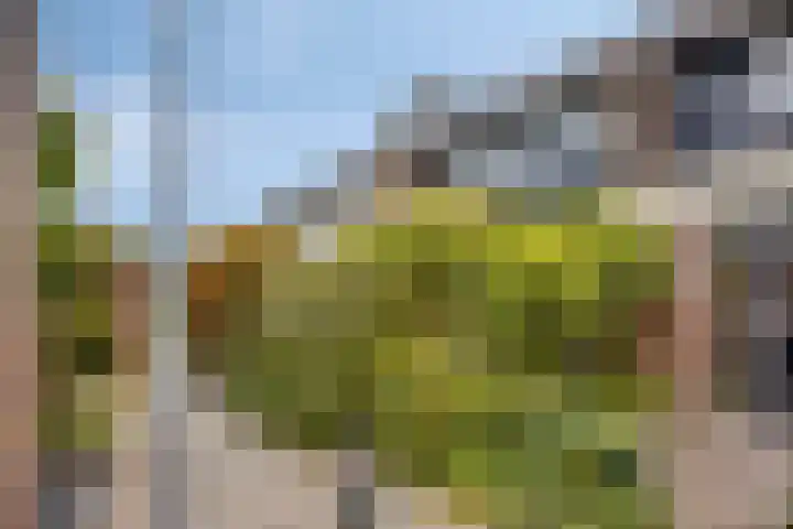 Marten Michielshof 40 De Rijp thumbnail 34
