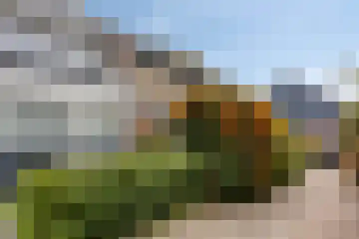 Marten Michielshof 40 De Rijp thumbnail 35