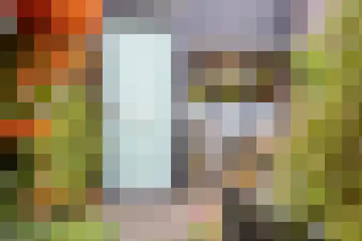 Marten Michielshof 40 De Rijp thumbnail 36