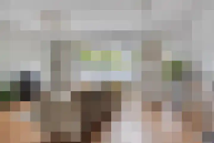 Marten Michielshof 40 De Rijp thumbnail 4