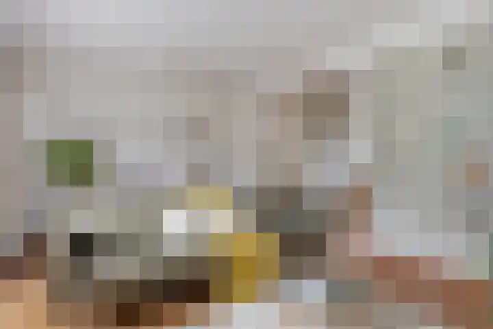Marten Michielshof 40 De Rijp thumbnail 5