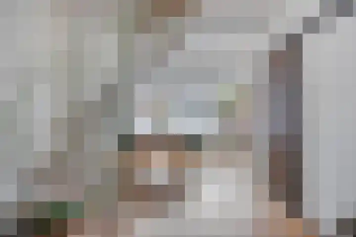 Marten Michielshof 40 De Rijp thumbnail 7