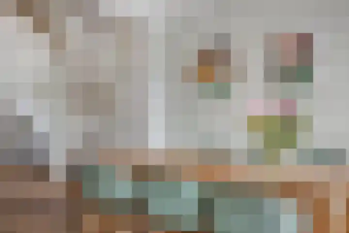 Marten Michielshof 40 De Rijp thumbnail 8