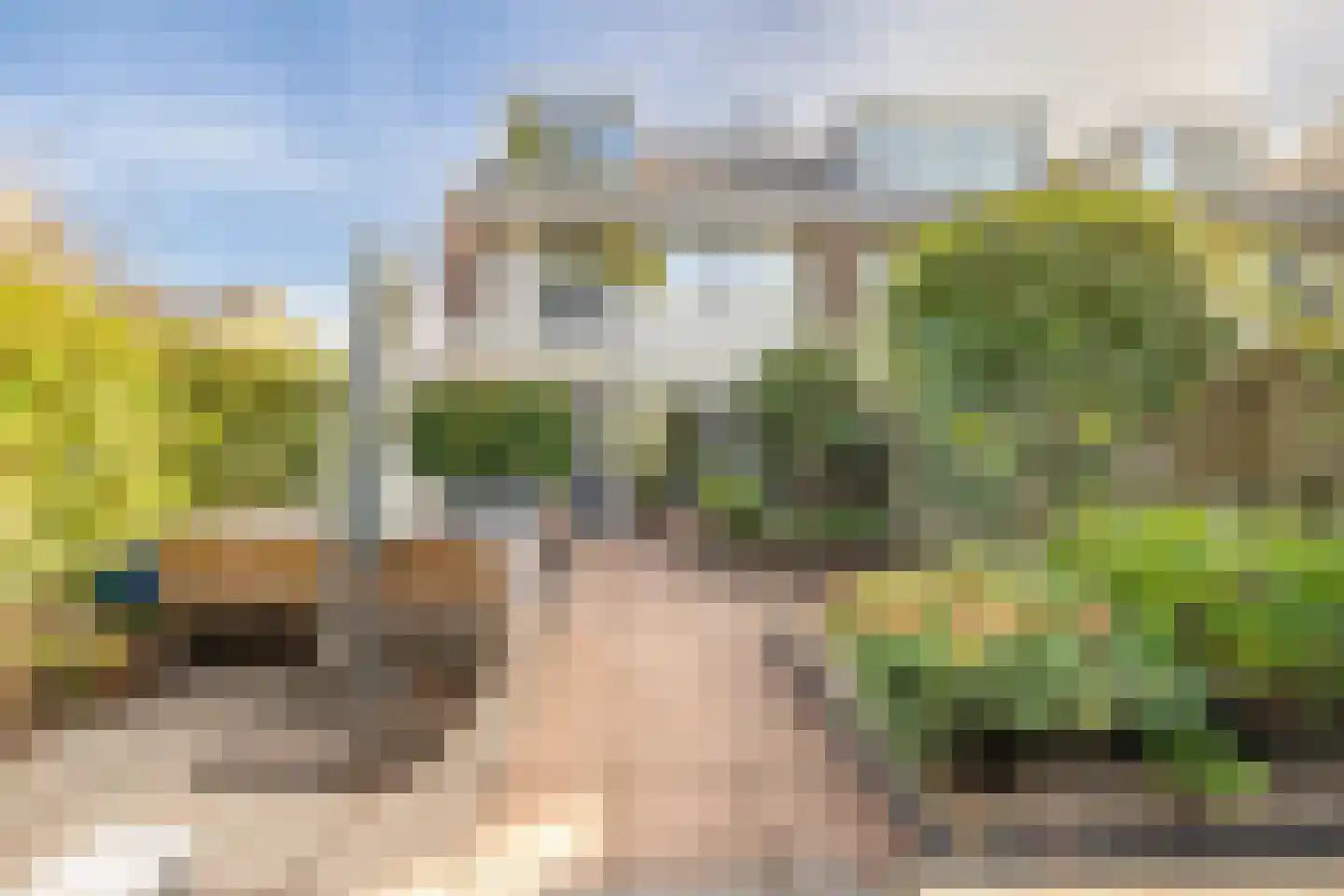 Marten Michielshof 9 De Rijp thumbnail 11