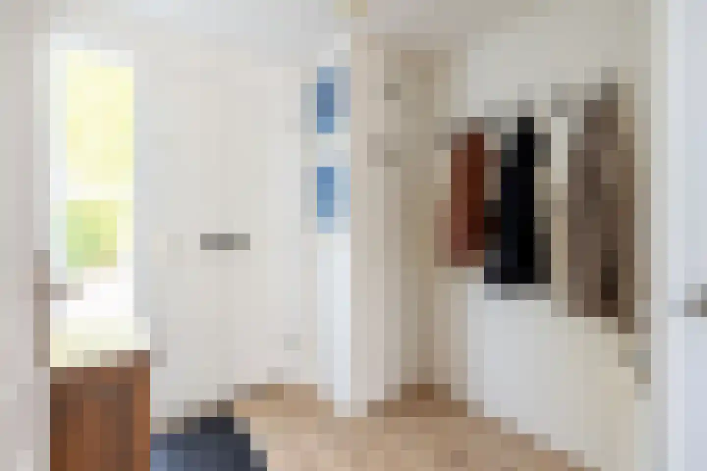 Marten Michielshof 9 De Rijp thumbnail 12