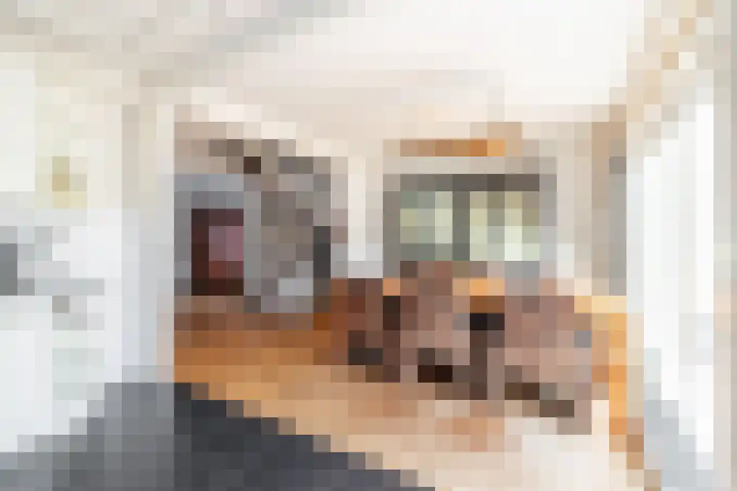 Marten Michielshof 9 De Rijp thumbnail 18