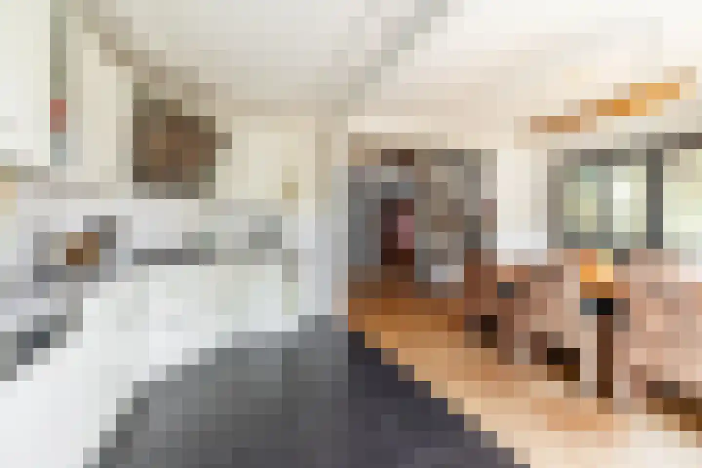 Marten Michielshof 9 De Rijp thumbnail 19