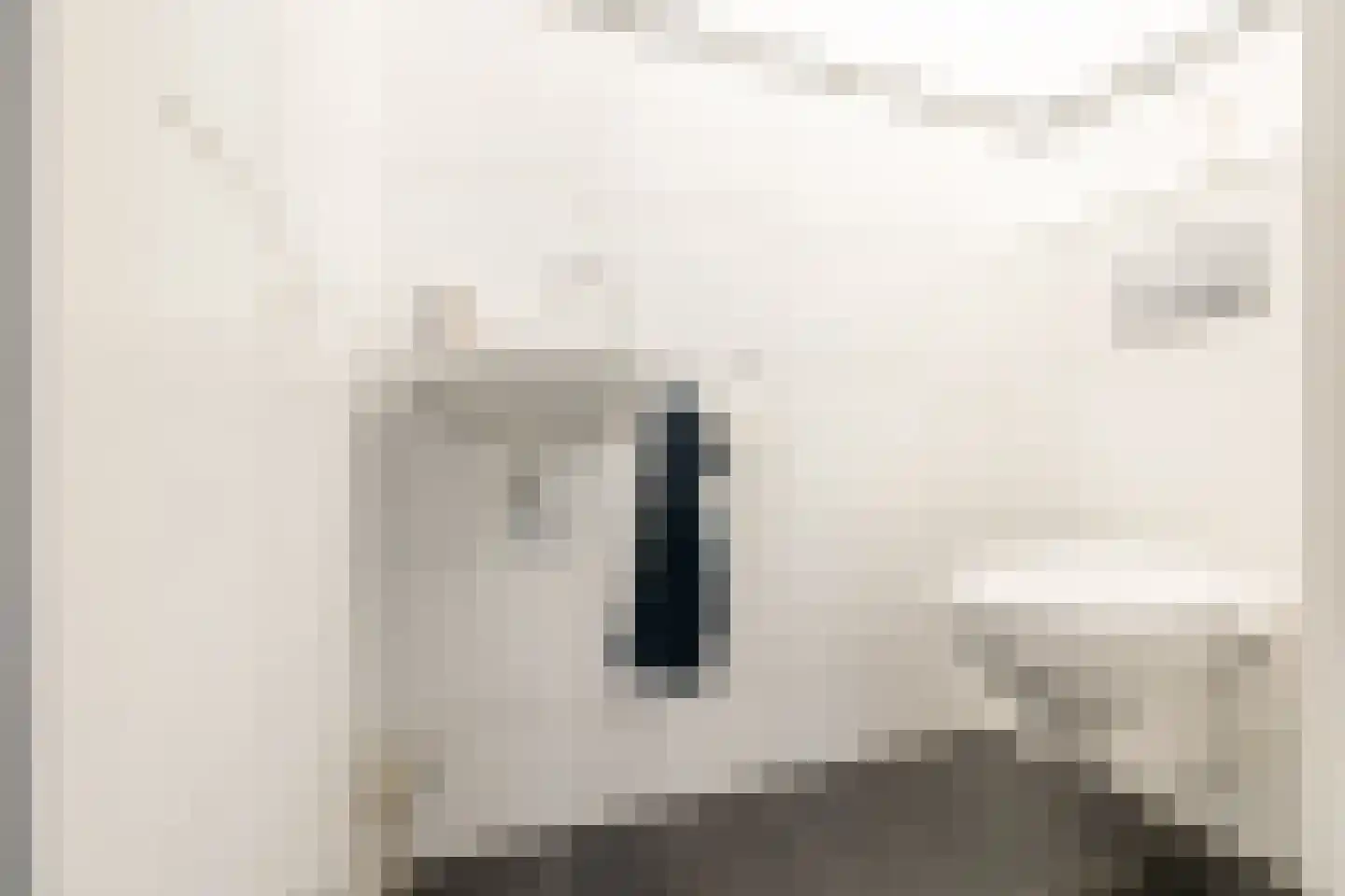 Marten Michielshof 9 De Rijp thumbnail 23