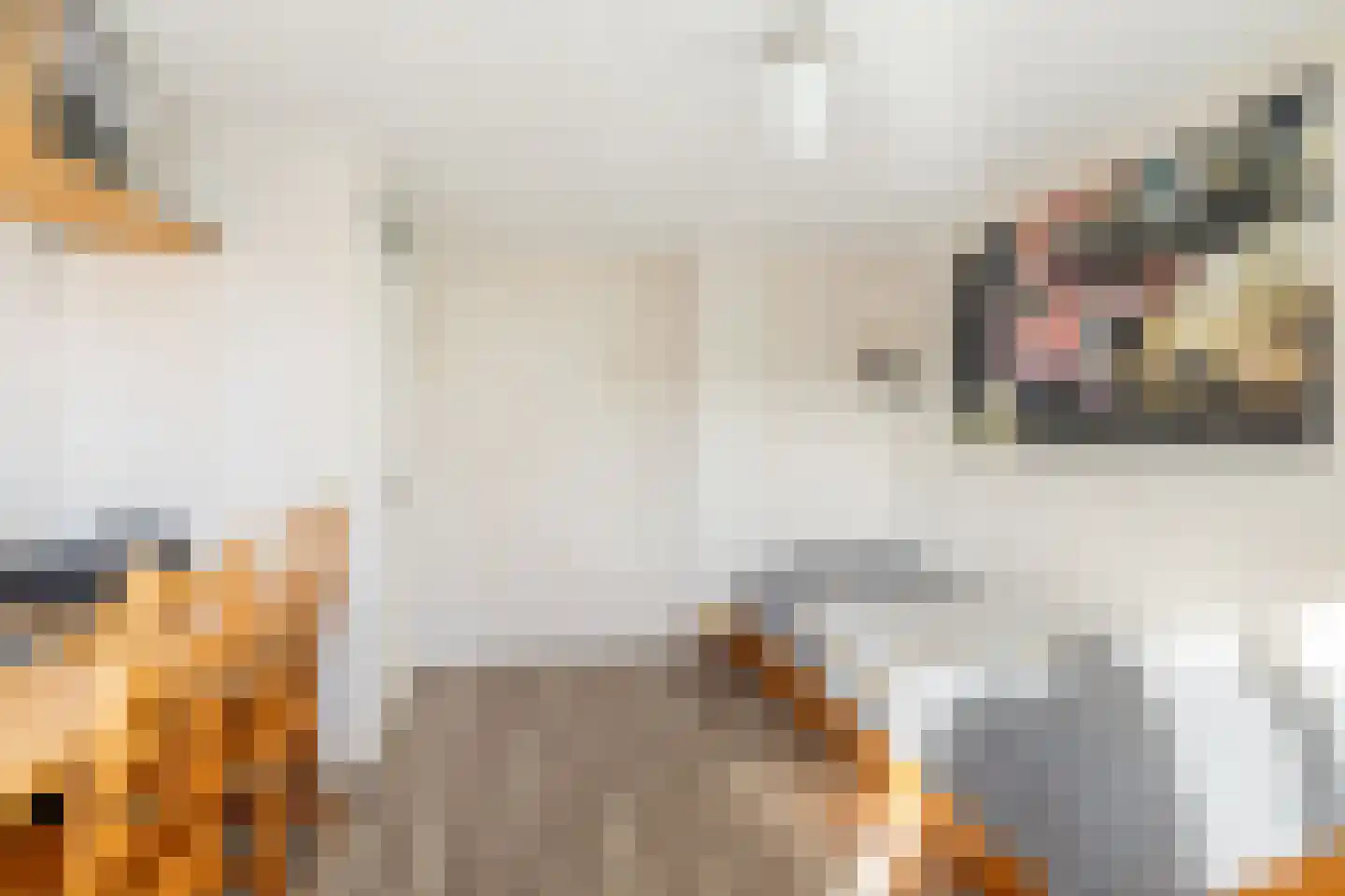 Marten Michielshof 9 De Rijp thumbnail 29