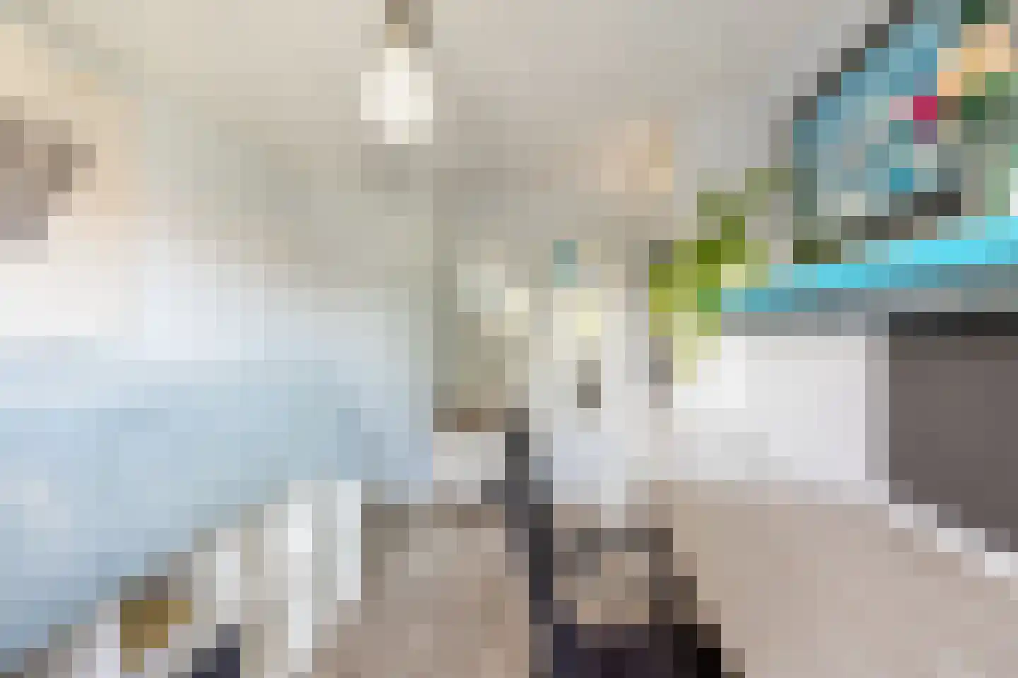 Marten Michielshof 9 De Rijp thumbnail 31