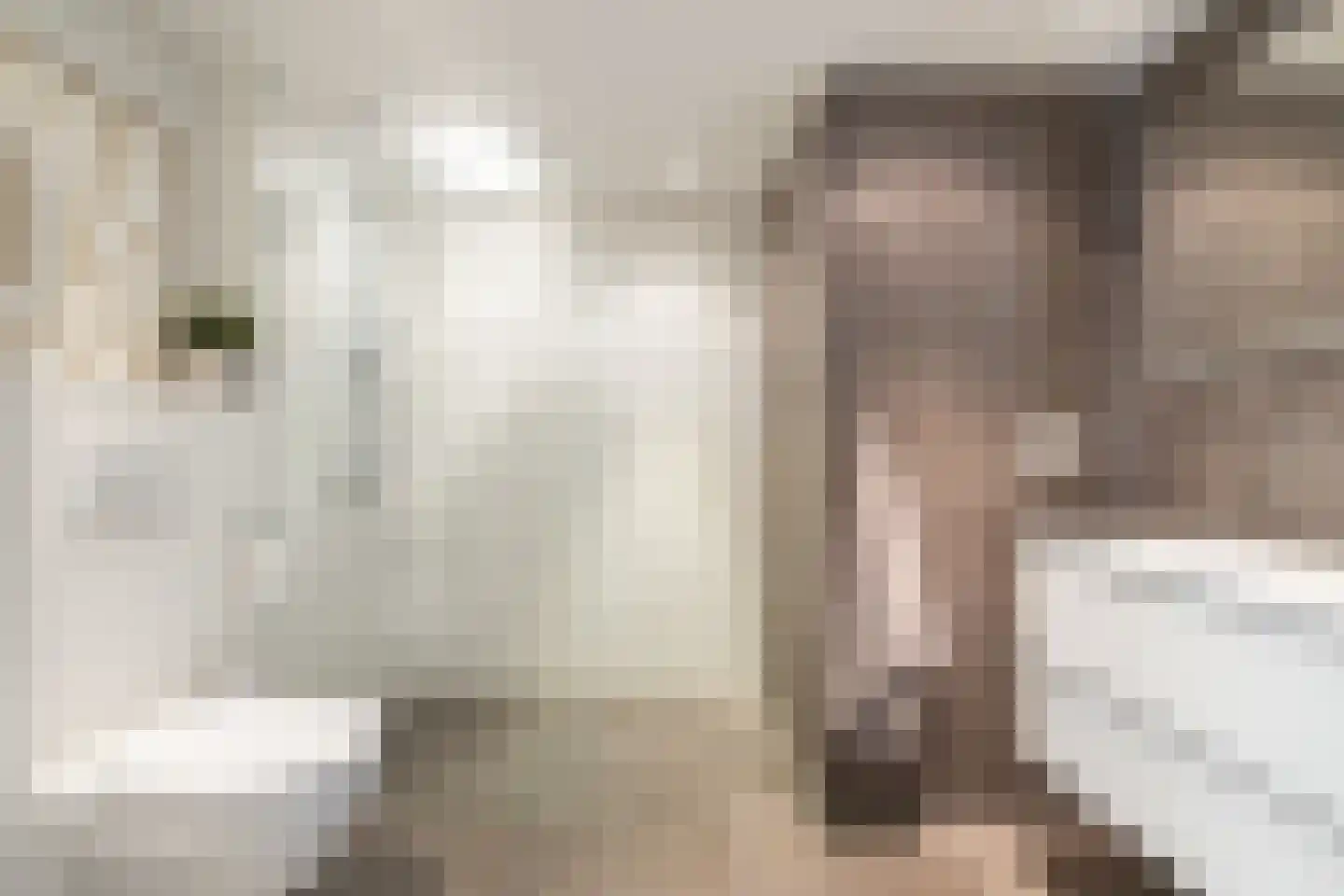 Marten Michielshof 9 De Rijp thumbnail 32