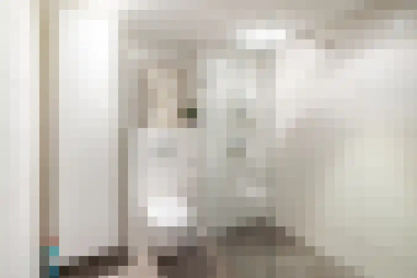 Marten Michielshof 9 De Rijp thumbnail 34