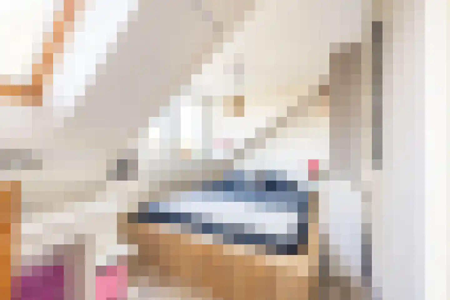 Marten Michielshof 9 De Rijp thumbnail 36