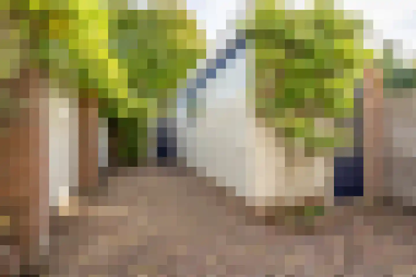 Marten Michielshof 9 De Rijp thumbnail 42
