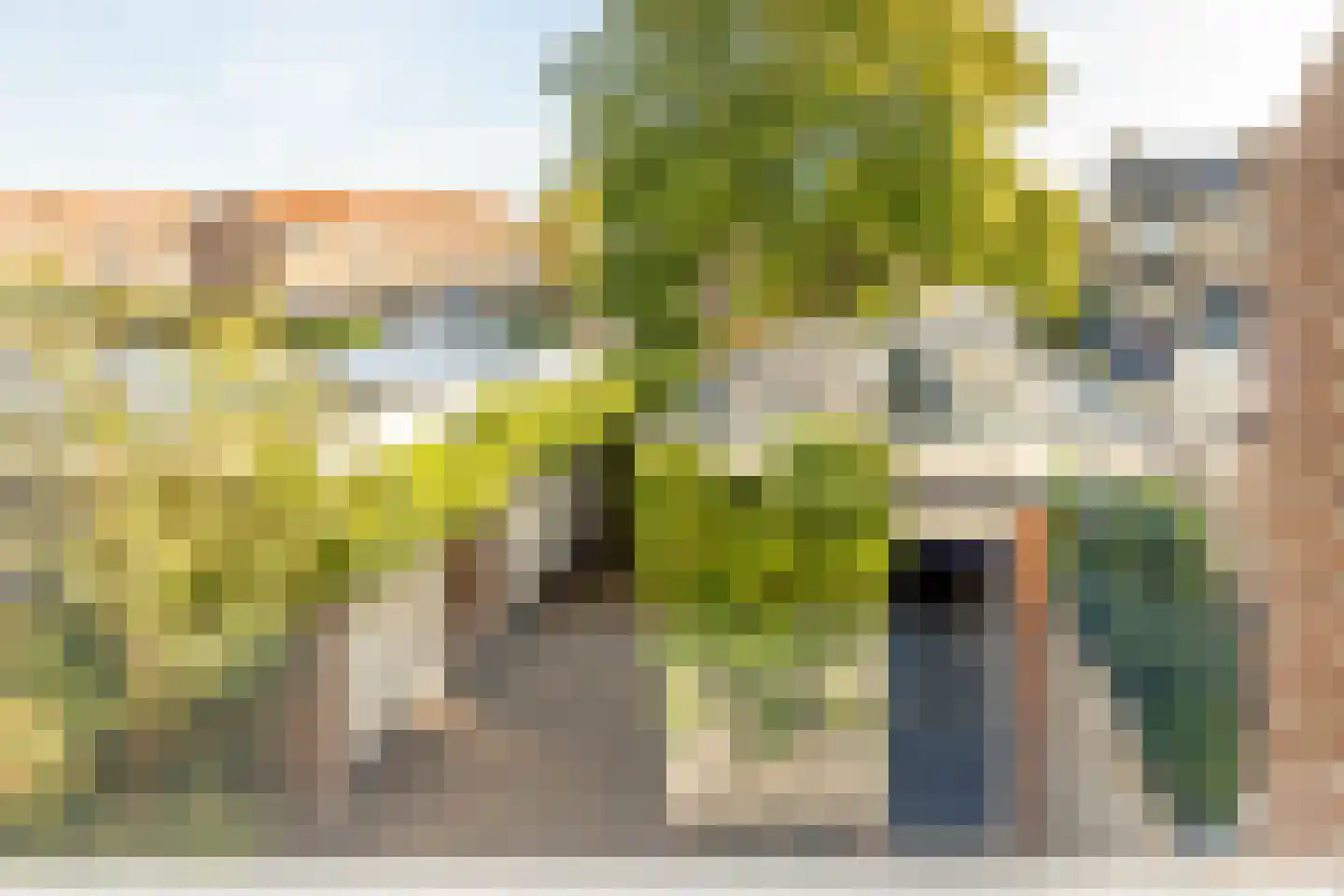 Marten Michielshof 9 De Rijp thumbnail 43