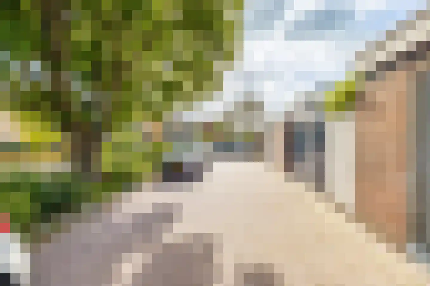 Marten Michielshof 9 De Rijp thumbnail 46