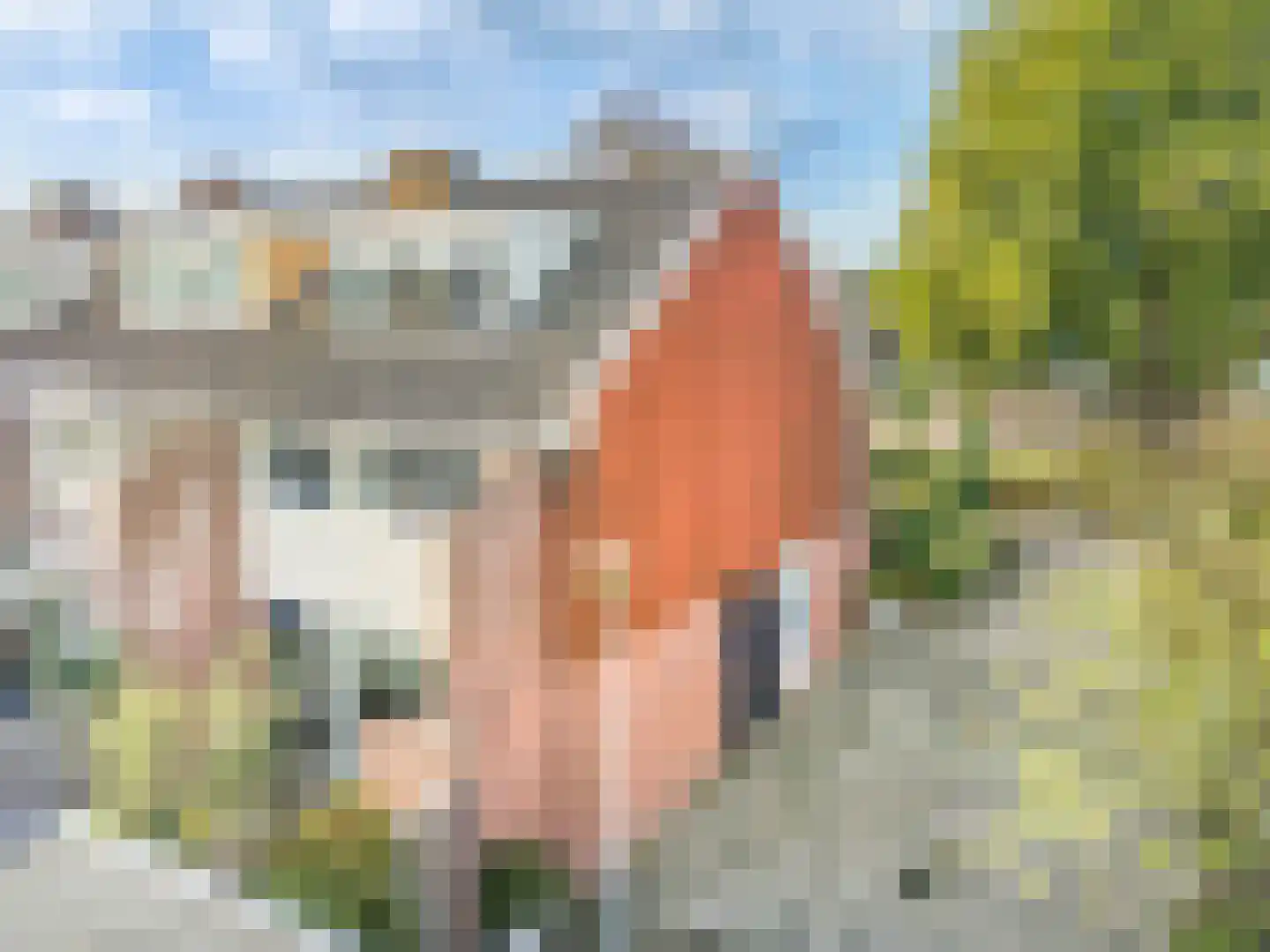 Marten Michielshof 9 De Rijp thumbnail 47