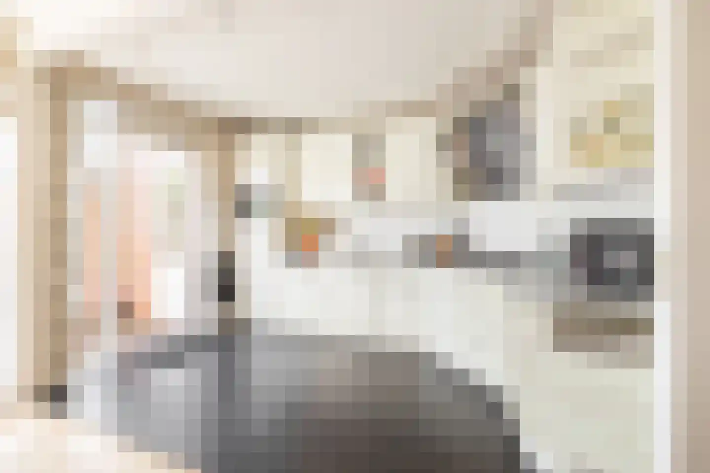 Marten Michielshof 9 De Rijp thumbnail 5