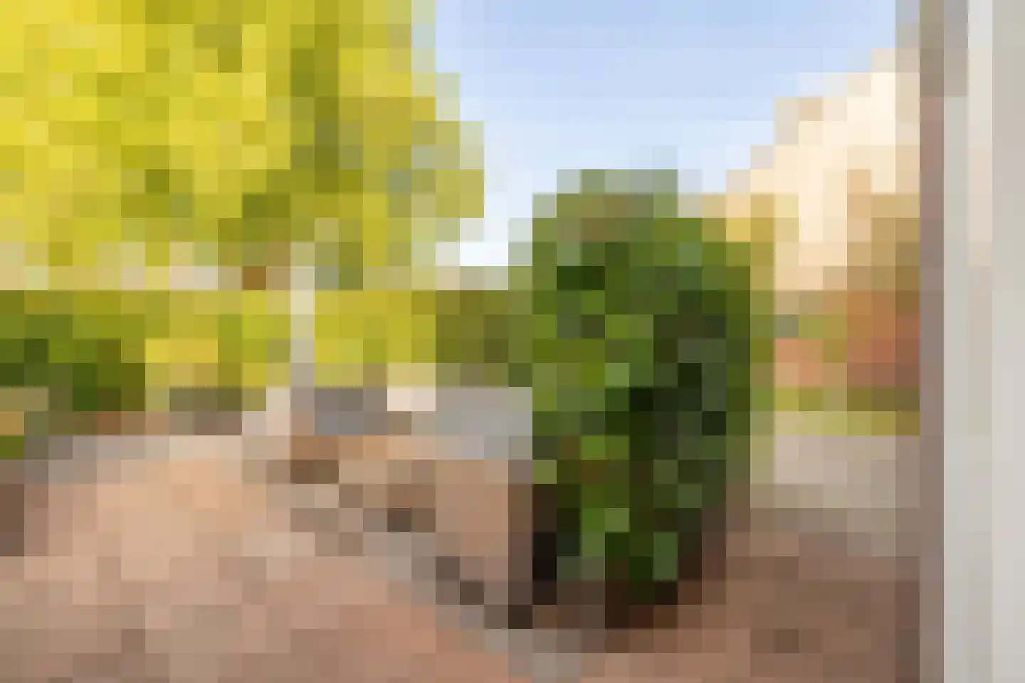 Marten Michielshof 9 De Rijp thumbnail 8