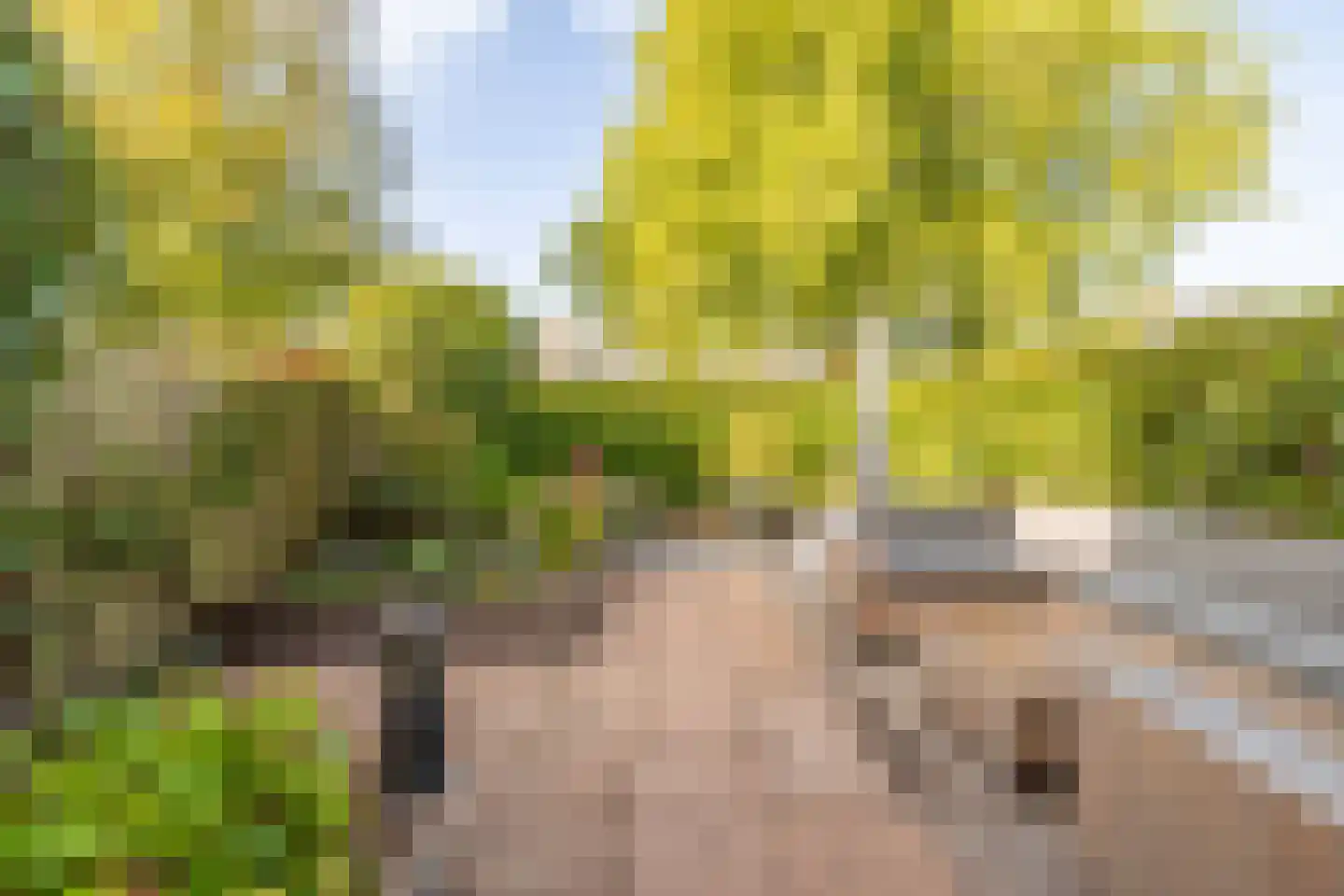 Marten Michielshof 9 De Rijp thumbnail 9