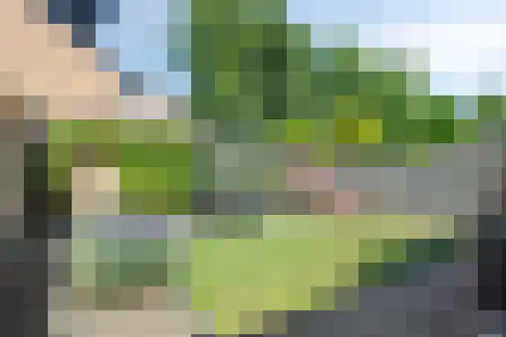 Marten Orgeslaan 38 Ugchelen thumbnail 31
