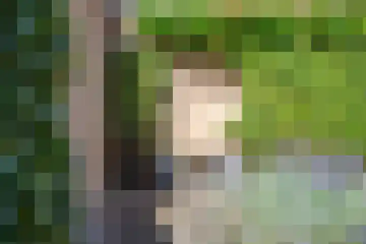 Marten Orgeslaan 38 Ugchelen thumbnail 33