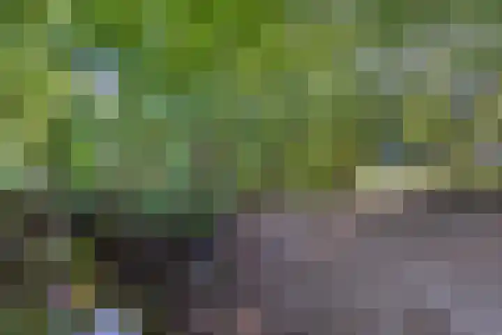 Marten Orgeslaan 38 Ugchelen thumbnail 37