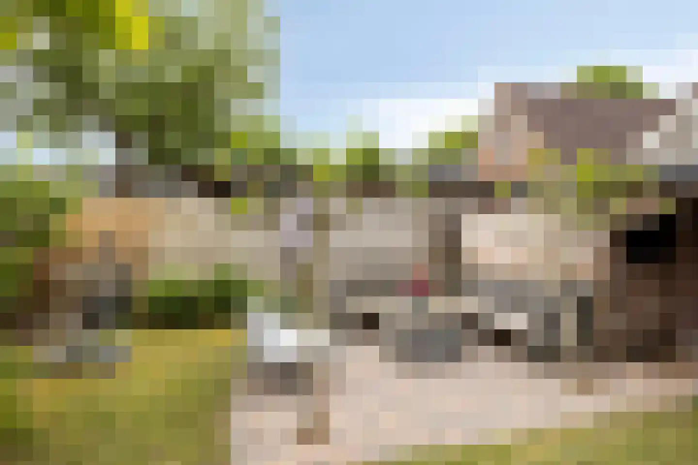 Marten Orgeslaan 4 Ugchelen thumbnail 26