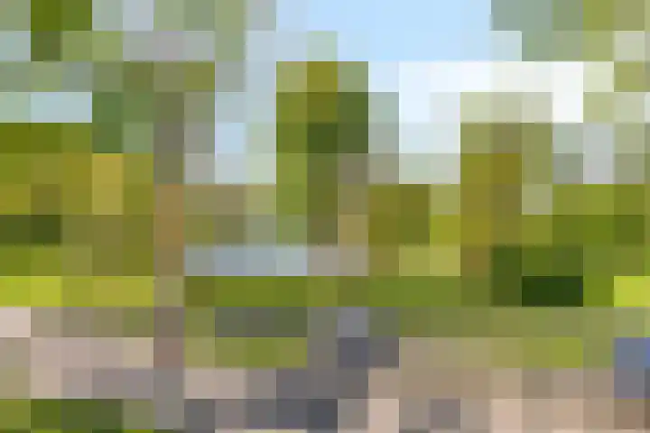 Marten Ottenlaan 19 Meppel thumbnail 17