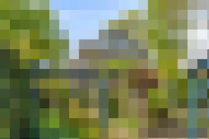 Marten Ottenlaan 19 Meppel thumbnail 25