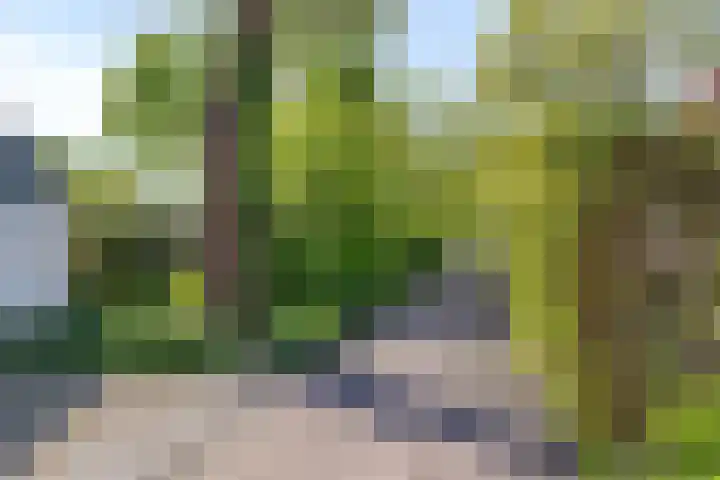 Marten Ottenlaan 19 Meppel thumbnail 36