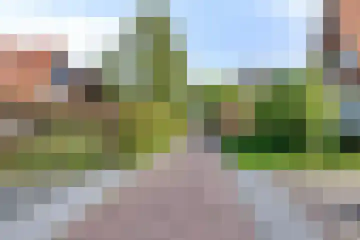 Marten Ottenlaan 19 Meppel thumbnail 37
