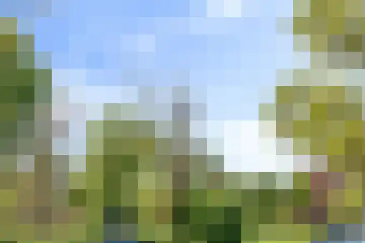 Marten Ottenlaan 19 Meppel thumbnail 40