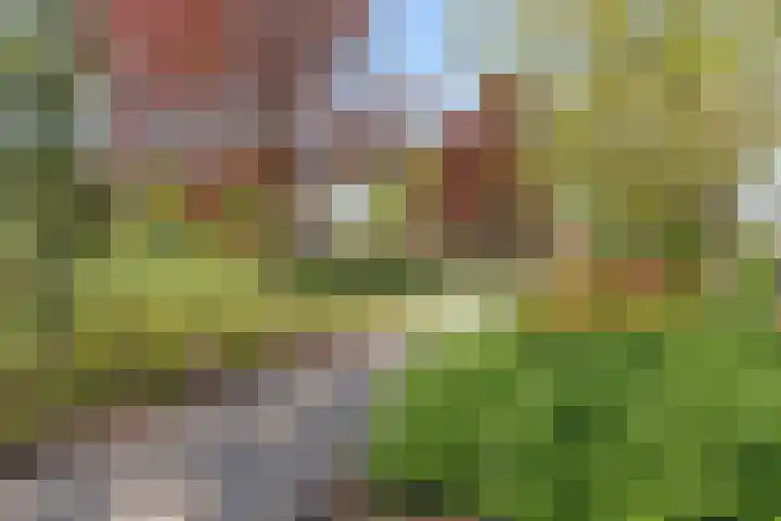 Marten Ottenlaan 19 Meppel thumbnail 44