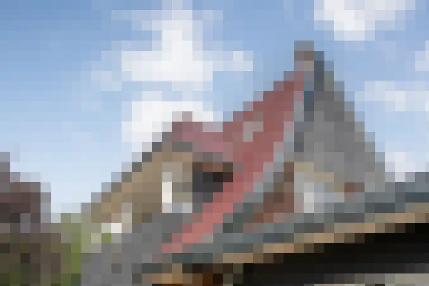 Marten Ottenlaan 27 Meppel thumbnail 35