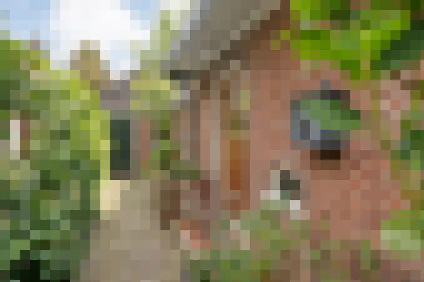 Marten Ottenlaan 27 Meppel thumbnail 42