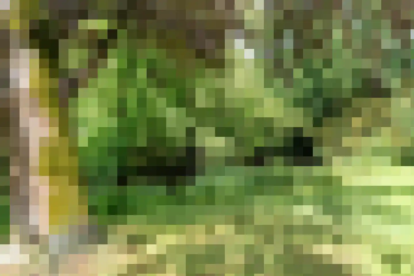 Marten Ottenlaan 27 Meppel thumbnail 46