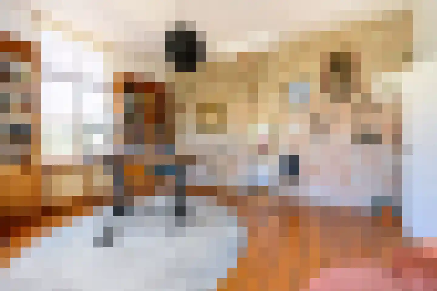 Marten Putstraat 16 Brummen thumbnail 21