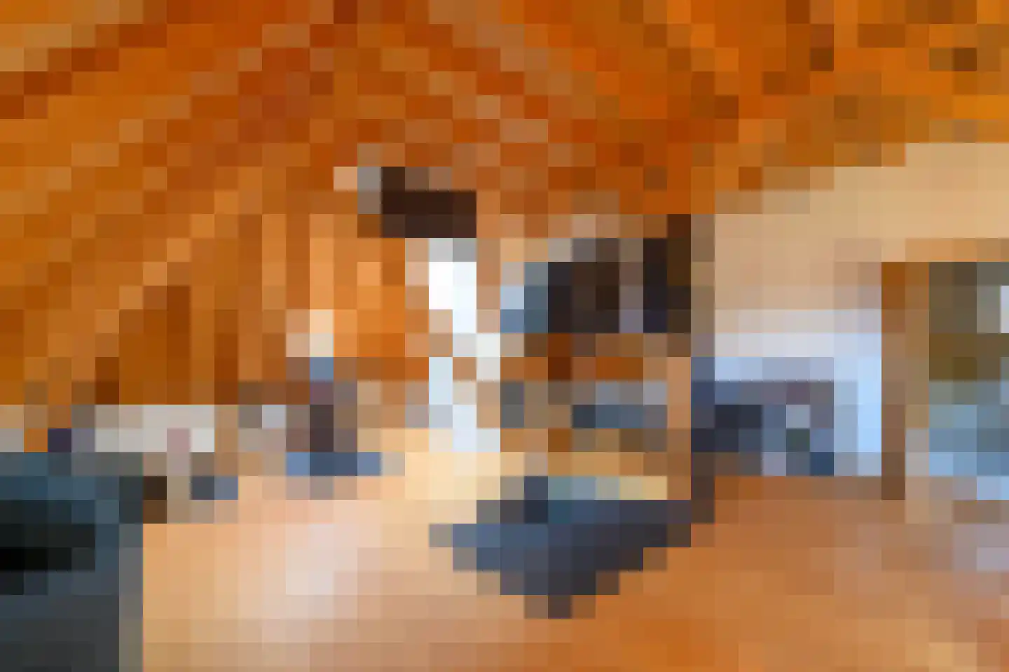Marten Putstraat 16 Brummen thumbnail 34