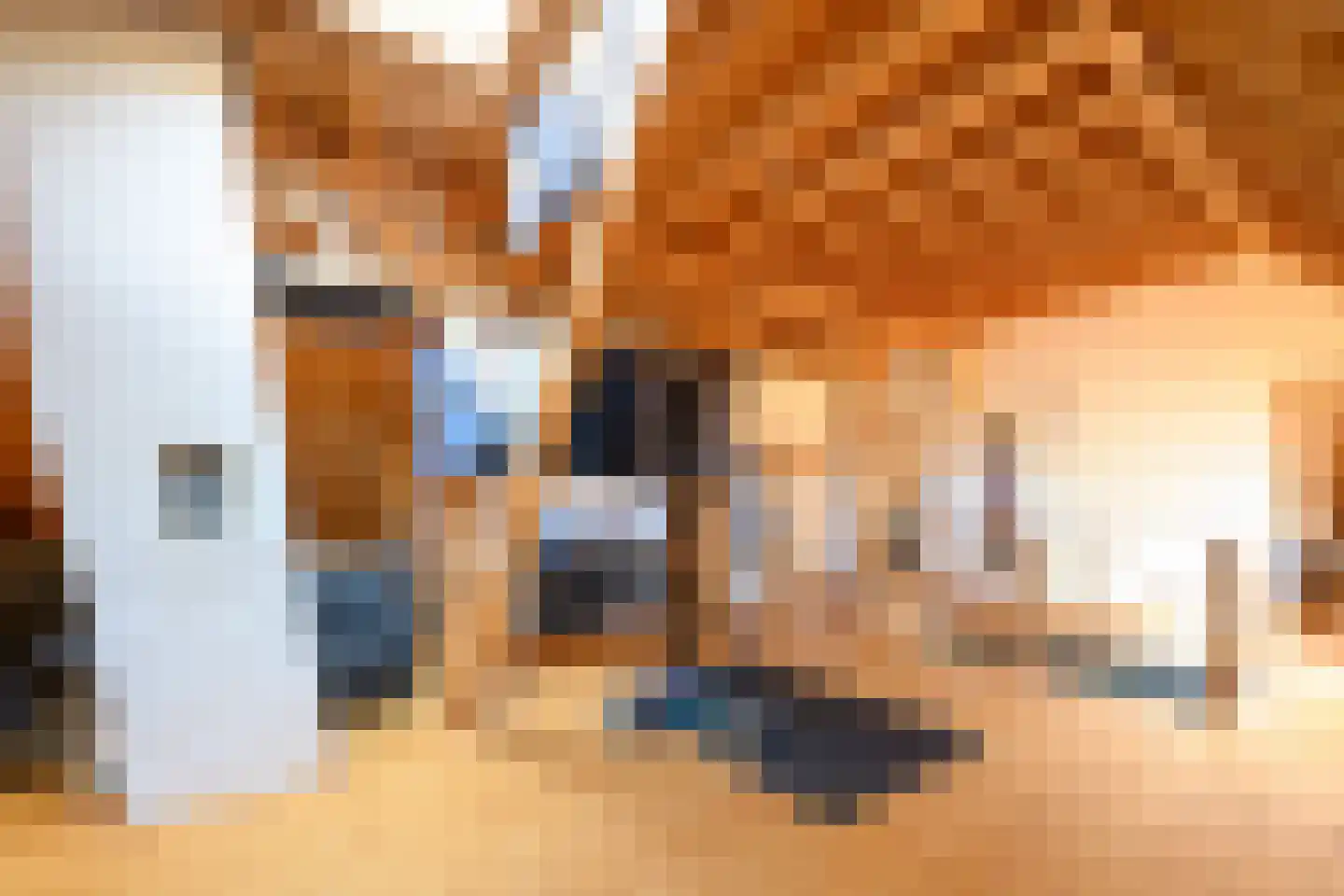 Marten Putstraat 16 Brummen thumbnail 35