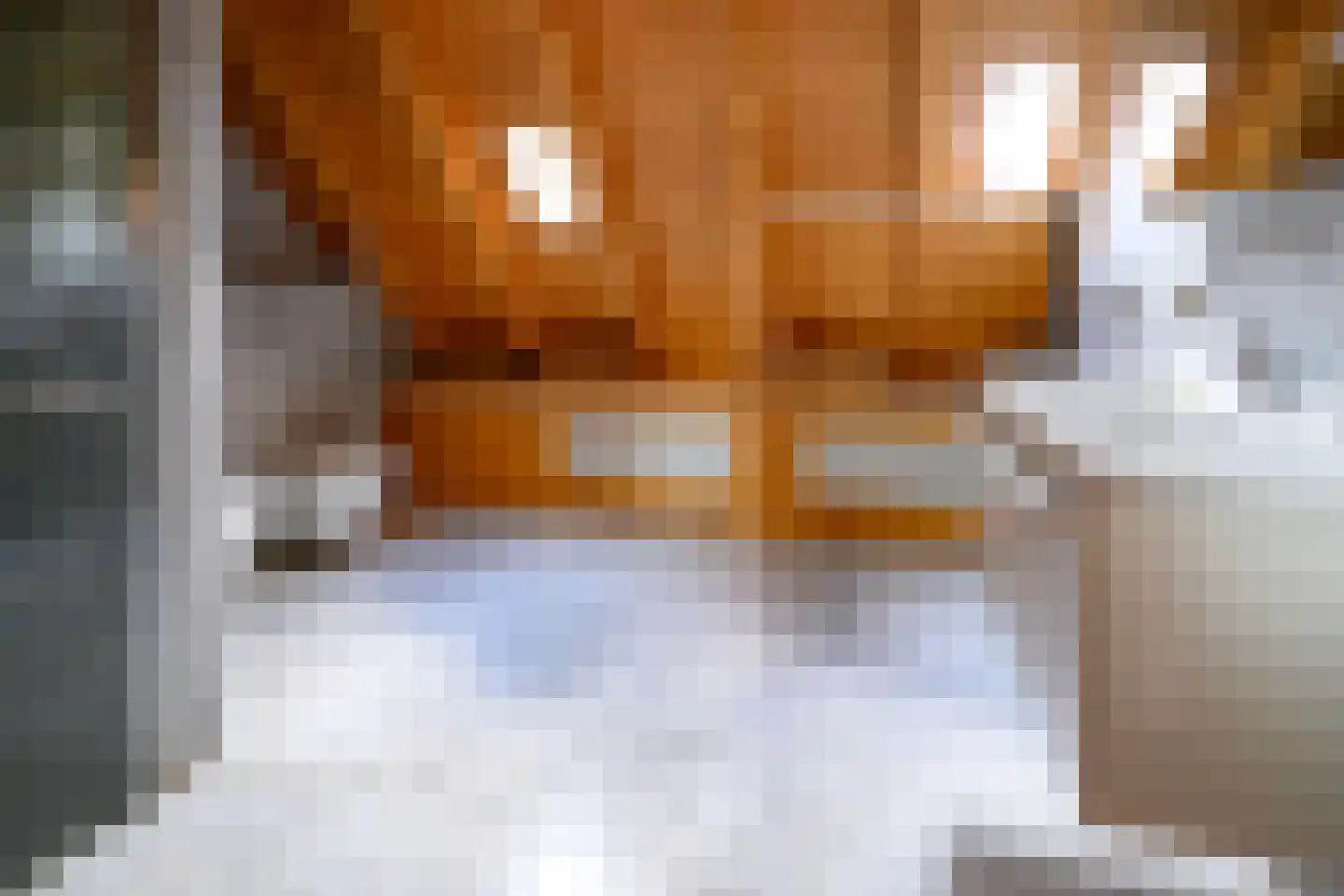 Marten Putstraat 16 Brummen thumbnail 37