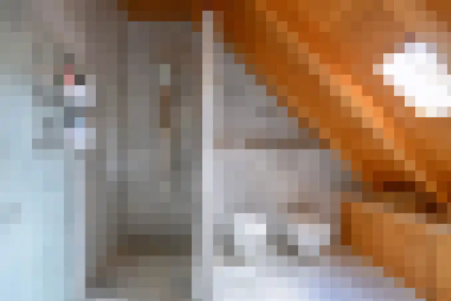 Marten Putstraat 16 Brummen thumbnail 38