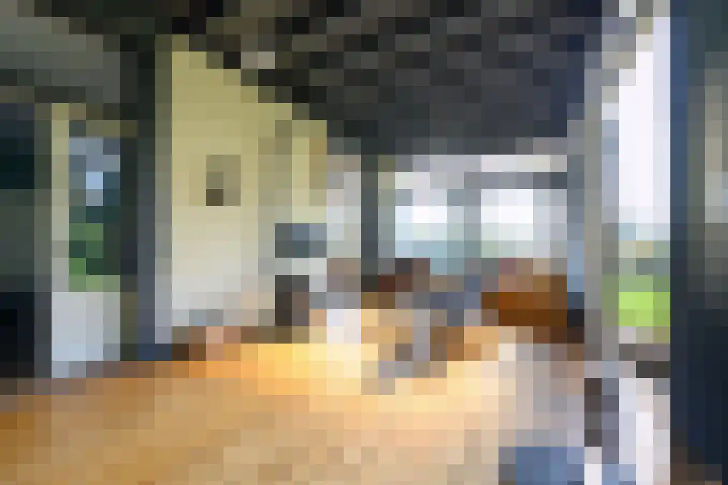 Marten Putstraat 16 Brummen thumbnail 4