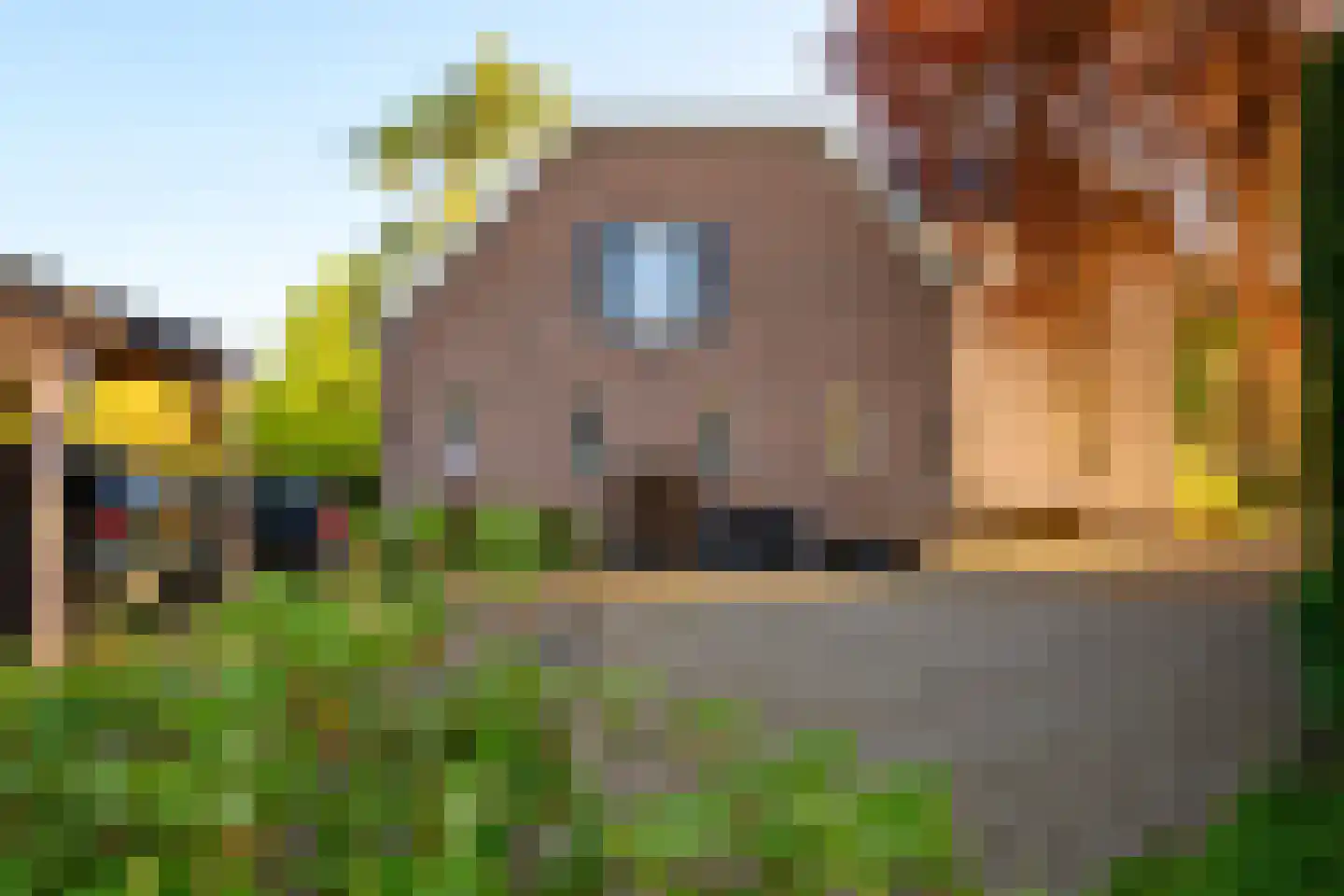 Marten Putstraat 16 Brummen thumbnail 59