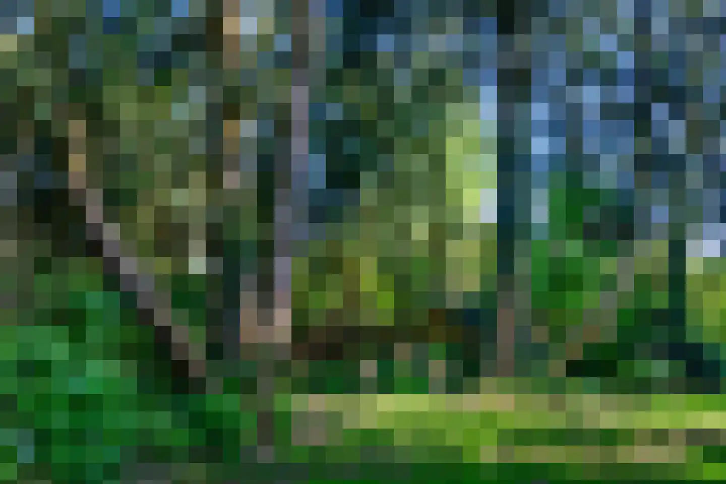 Marten Putstraat 16 Brummen thumbnail 70