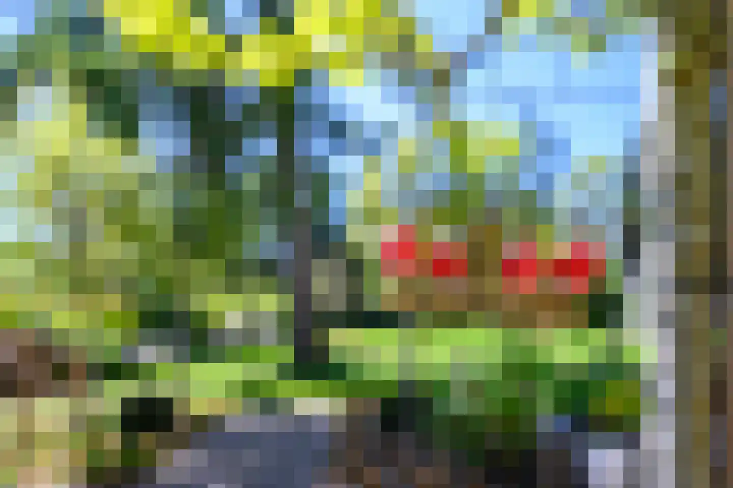 Marten Putstraat 16 Brummen thumbnail 77