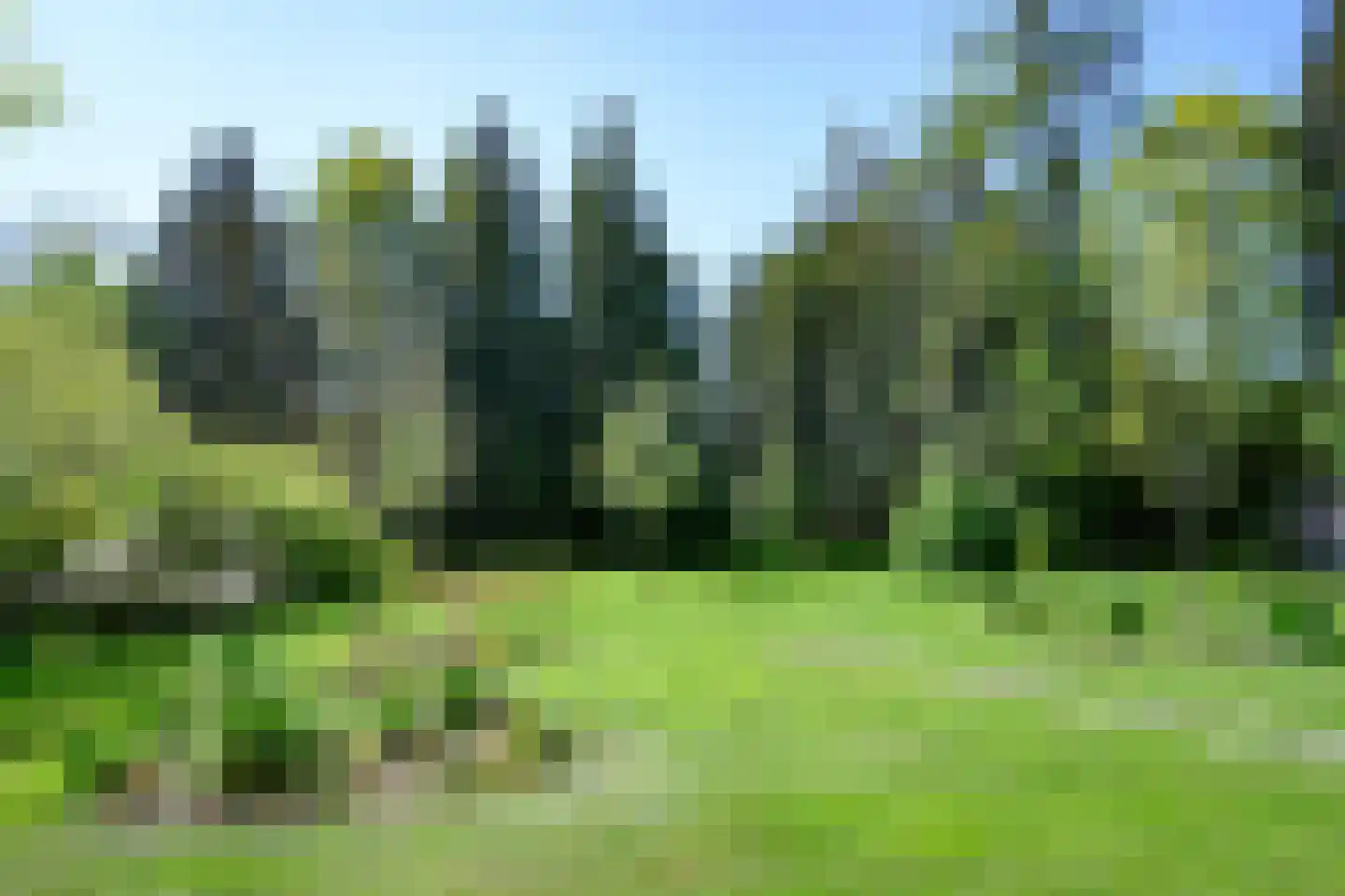 Marten Putstraat 16 Brummen thumbnail 78