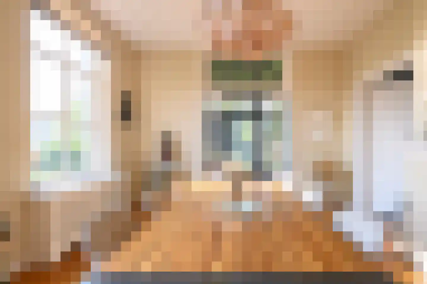 Marten Putstraat 16 Brummen thumbnail 8