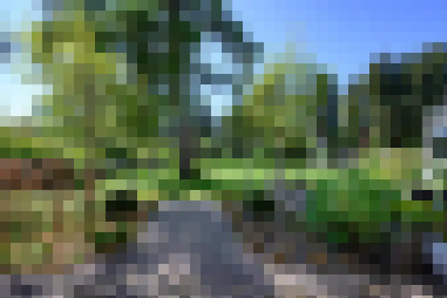 Marten Putstraat 16 Brummen thumbnail 80