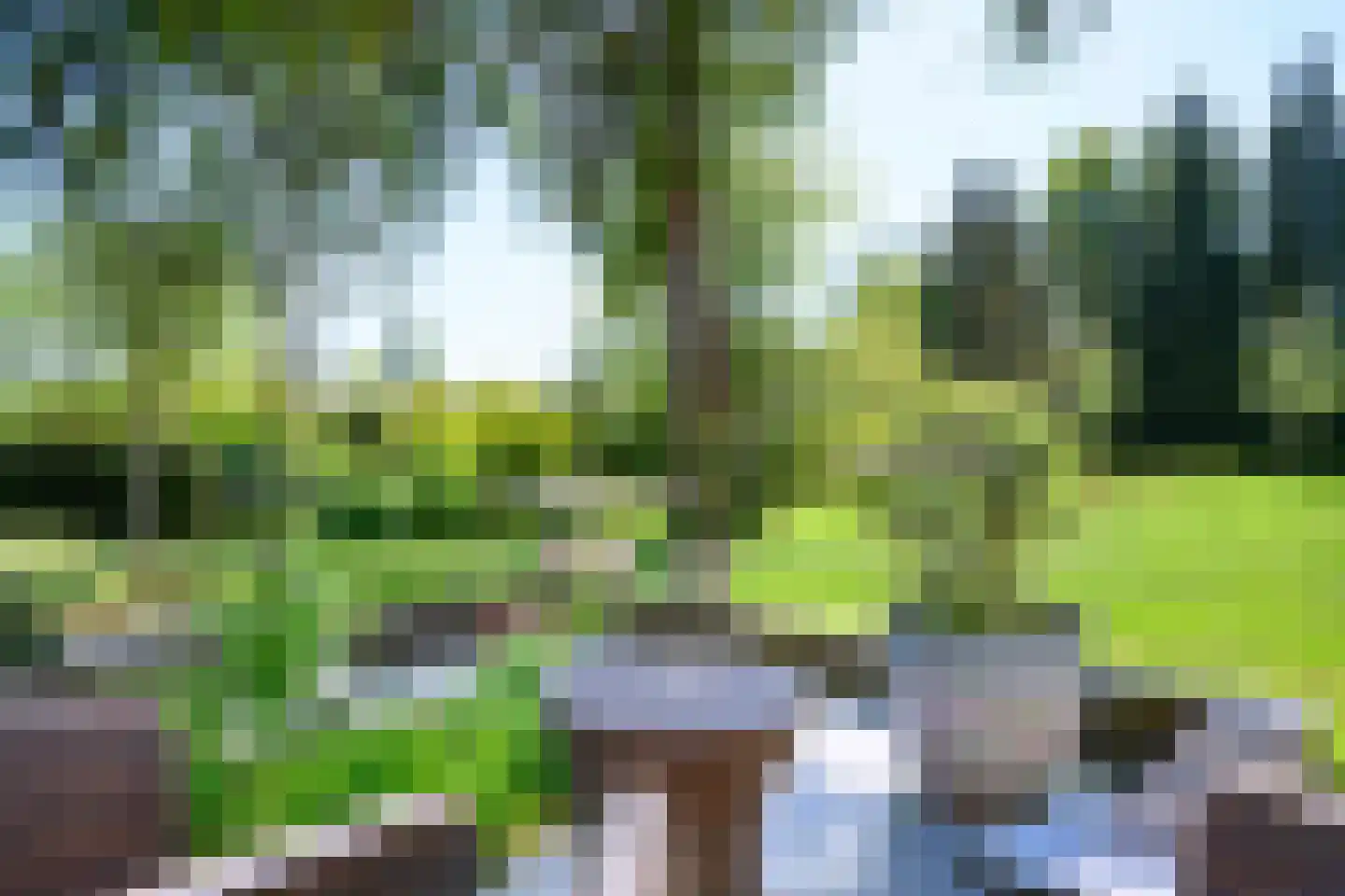 Marten Putstraat 16 Brummen thumbnail 89